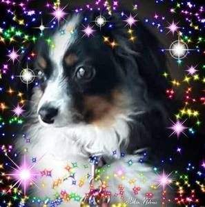 Meet your Posher, Robin